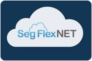 SegFlexNet