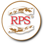 RPS Corretora de Seguros - PR
